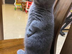 -立德动物医院·24小时中心(番禺区院区)