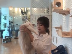 -momokira米努特·德文卷毛猫·棉花面纱犬