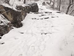 -阳台山自然风景区