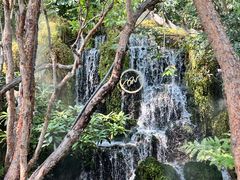 -Chom Cafe and Restaurant