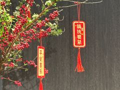 -越秀西湖花市(广州城市广场花卉店)