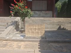 -王莽岭风景区