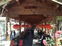 -大理文庙(大理古城)