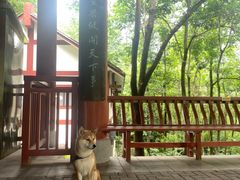 -重庆彩云湖湿地公园