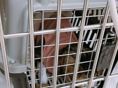 -美联众合动物医院·24h京西诊疗中心