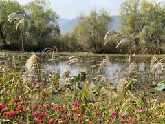 -长兴太湖图影湿地文化园