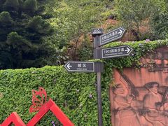 -云南屏边大围山国家公园