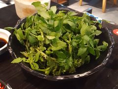 -东椰·海南椰子鸡火锅(朝阳门店)