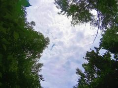 -白马涧龙池景区