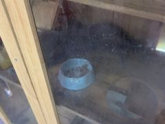 -203密室体验馆·逃脱·聚会·亲子(工体店)