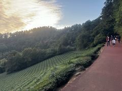 -敬亭山风景名胜区