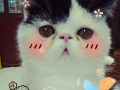 android_upload_pic-乐宠宠物店(世纪金源店)