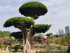 -南宁南湖公园