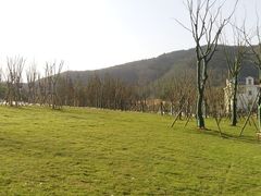 android_upload_pic-习家池
