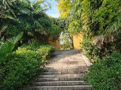 -苏州上方山国家森林公园