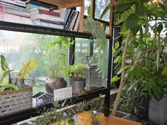 -北马山庄植趣咖啡