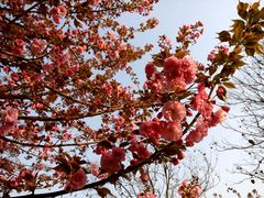 -西安交通大学(雁塔校区)