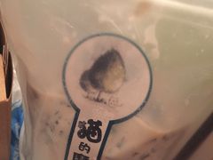 -猫的魔法密林(衣裳街店)