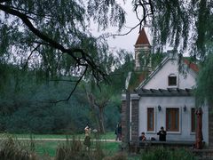 -上海共青森林公园