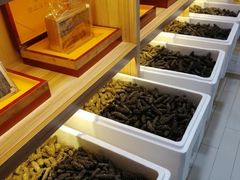 -宫品海参专卖店(静安大宁店)