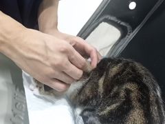 -佳雯宠物医院·皮肤科·内外科(春晓路分院)