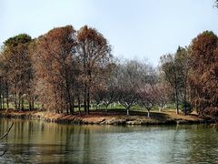 -上海海湾国家森林公园