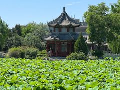 -保定直隶总督署博物馆