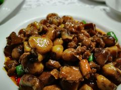 板栗烧乳鸽-琬苑鸽庄·川粤融合菜(解放碑总店)