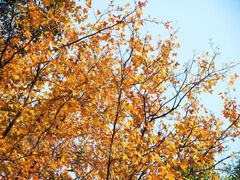 -白草畔自然风景区