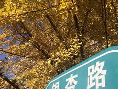 -辽宁大学(崇山校区)