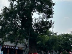 -青州古城
