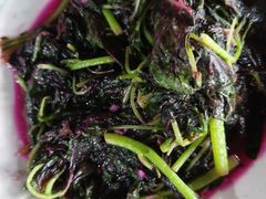 -龚家花园农家乐休闲别墅
