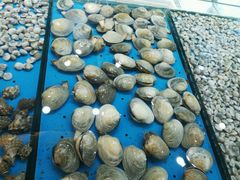 -福泉海码头(六里山店)