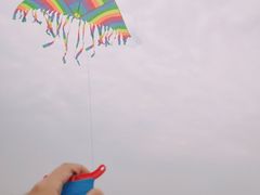 -巨鹏飞梦幻海岸