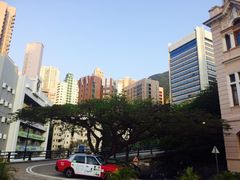 -香港大学