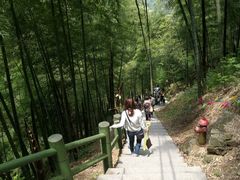 -藏龙百瀑风景区