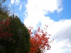 -蟒山国家森林公园天池停车场