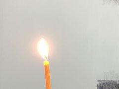 -壹点壹客·生日蛋糕(南山店)