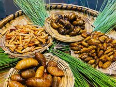 -昆虫窝子·特色云南菜(拓东路总店)
