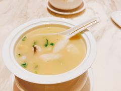 花胶黄鱼羹-新荣记(新源南路店)