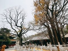 -潭柘寺景区