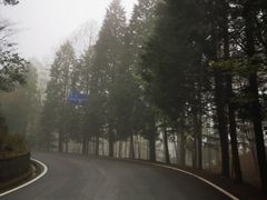 -四明山国家森林公园