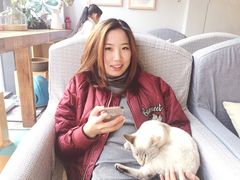 -吉丁鸟咖·异宠·寄养