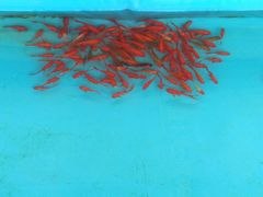 -党河风情线国家水利风景区