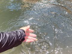 -安吉龙王山峡谷漂流