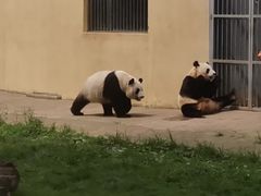 -西安秦岭野生动物园