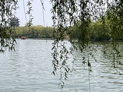 -济南大明湖景区