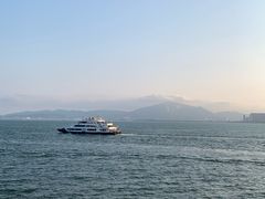 -演武大桥观景平台