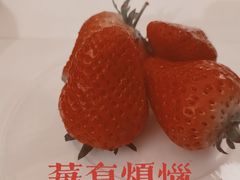 -胡家庙水果批发市场