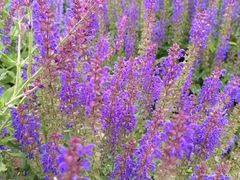 -汉长安城未央宫国家考古遗址公园